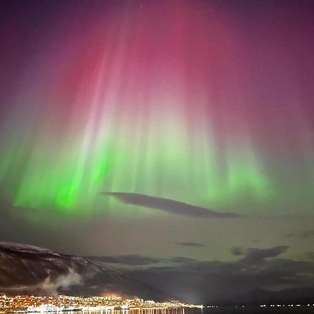 Rom Sentralt I Tromso Lejlighed Eksteriør billede