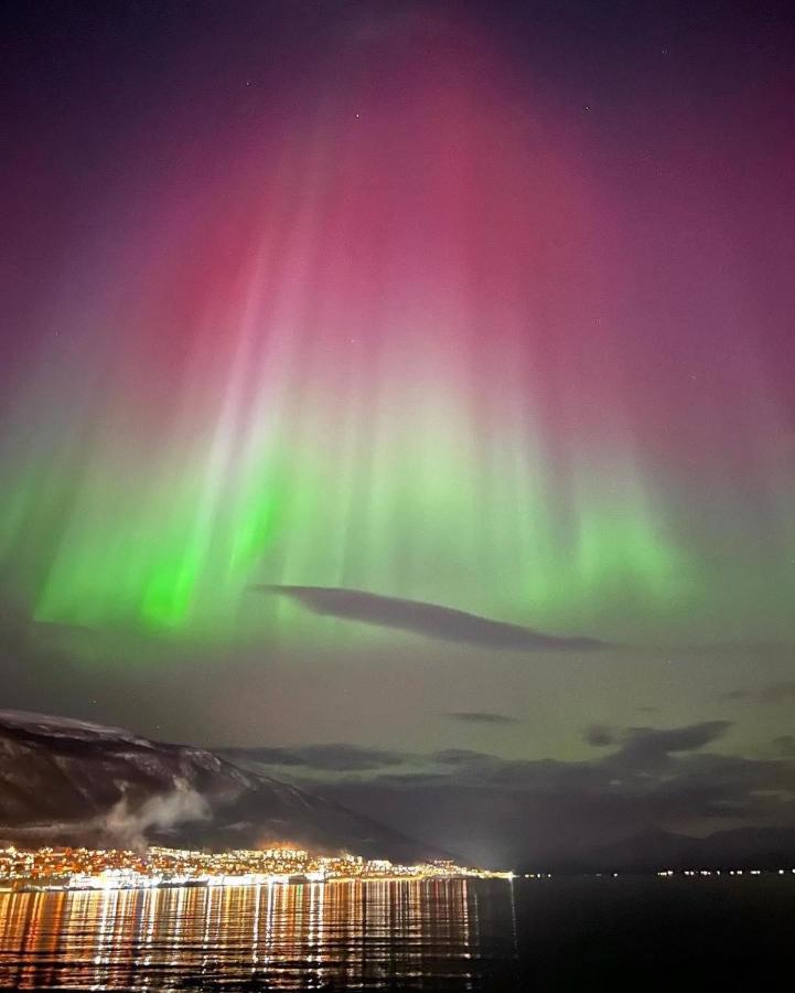Rom Sentralt I Tromso Lejlighed Eksteriør billede